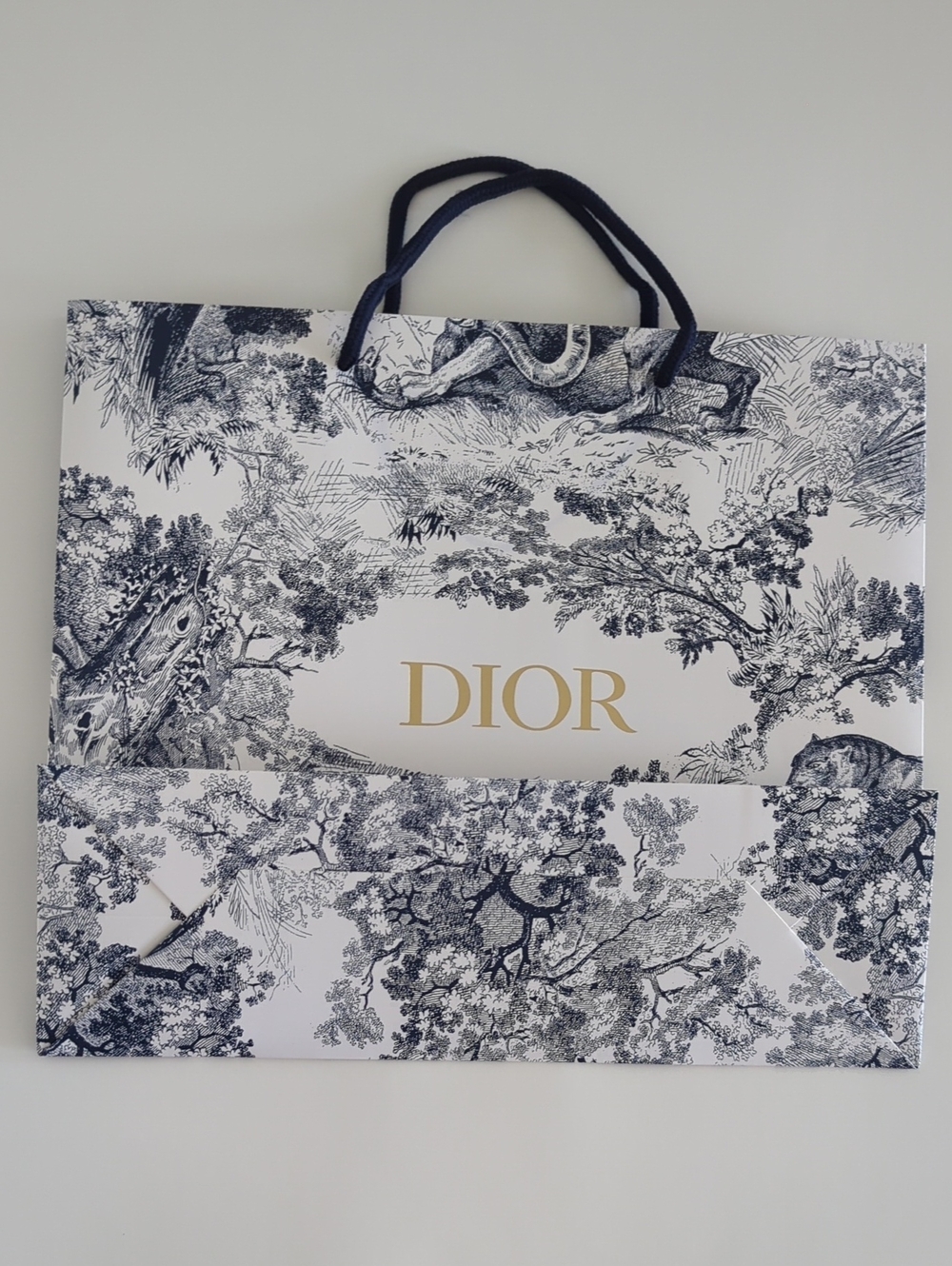 Dior White & Navy Toile Printed Shopping Tote with Gold Logo - Picture 6 of 6